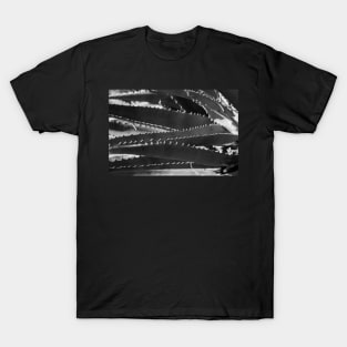 Sawtooth T-Shirt